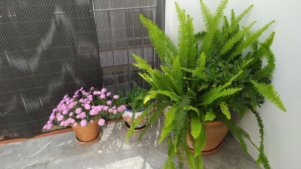 Apartamento La Union II , Calidad Y Comodidad 카스텔론델라플라나 외부 사진